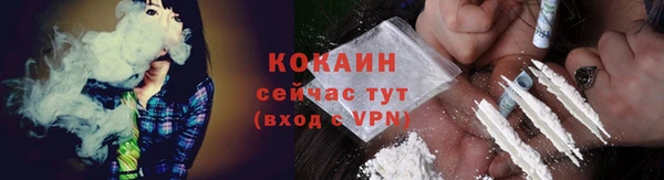амф Дмитров