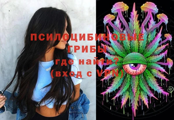 соль курить ск Гусь-Хрустальный