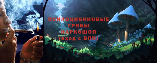 герыч Дмитриев
